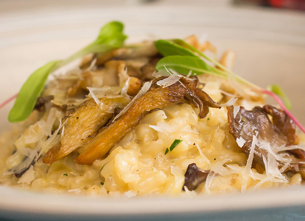 Top restaurants in the Graden Route
